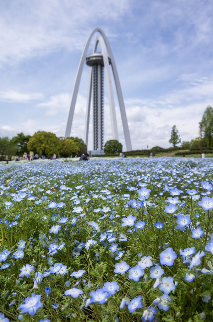 愛知の風景