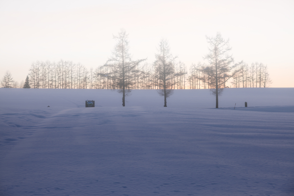 北海道の風景