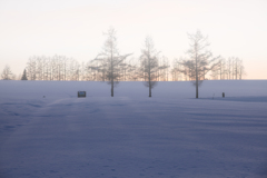 北海道の風景