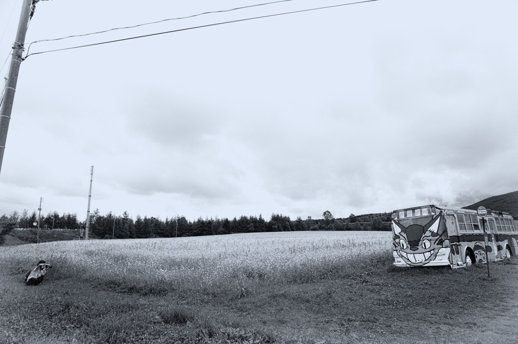 カメラマンのいる風景