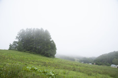 北海道の風景