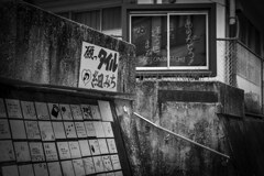 いつかの風景