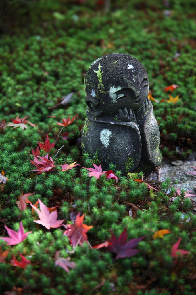 京都の風景