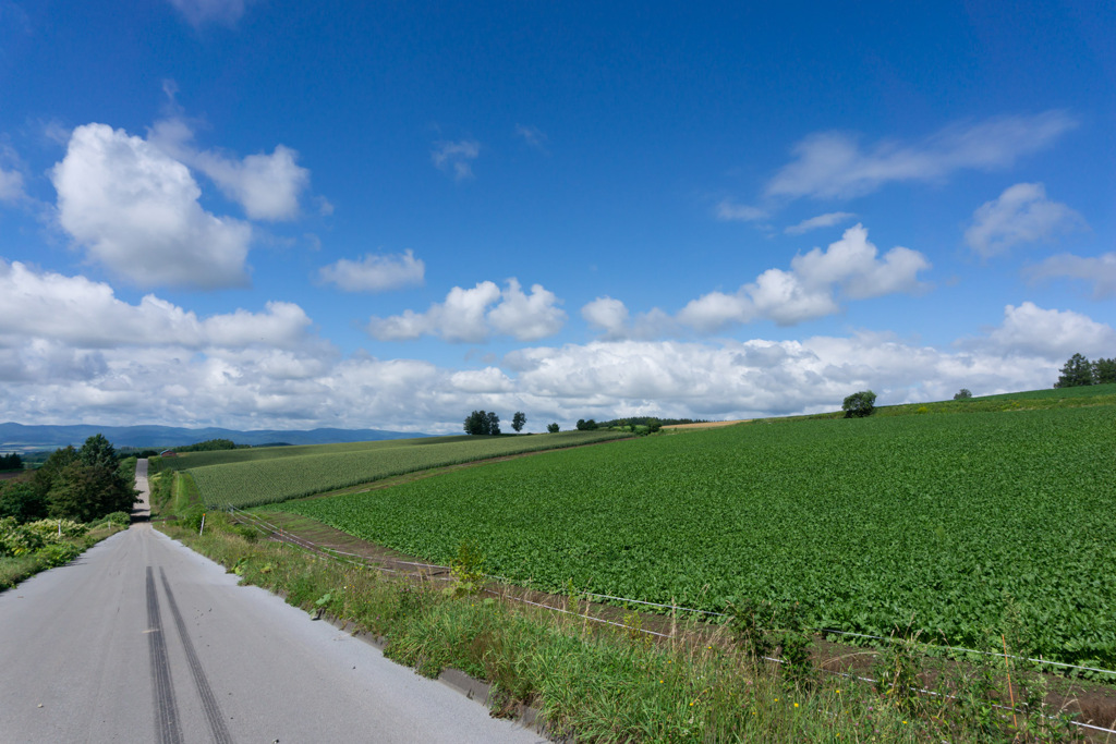 北海道の風景