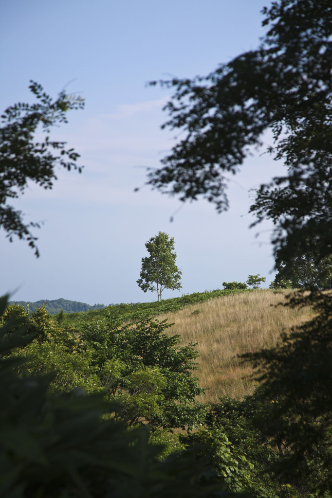 北海道の風景