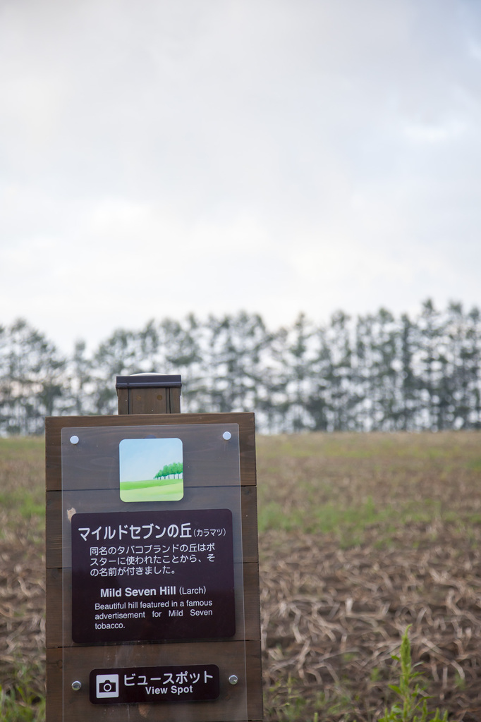 北海道の風景