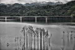 北海道の風景