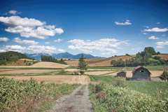 北海道の風景