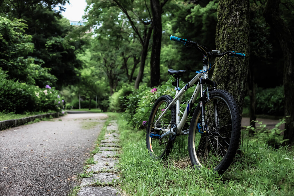 自転車のある風景