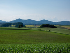 北海道での風景