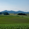 北海道での風景
