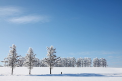 いつかの風景