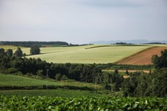 北海道の風景