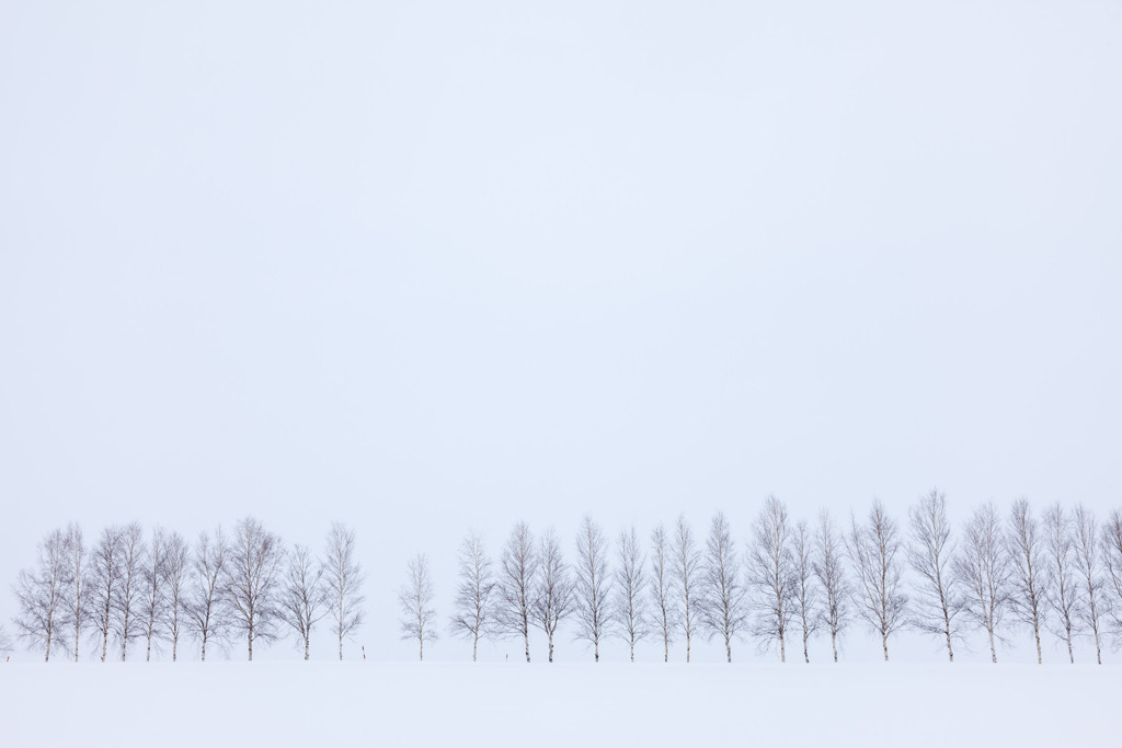 北海道の風景