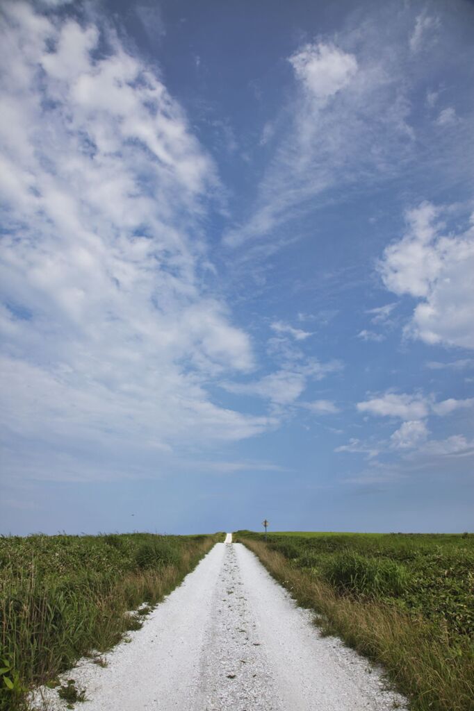 北海道の風景