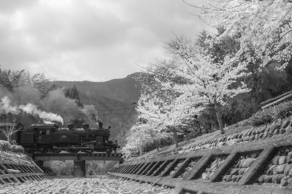 静岡の風景