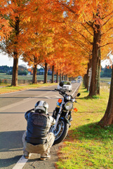 ライダーのいる風景