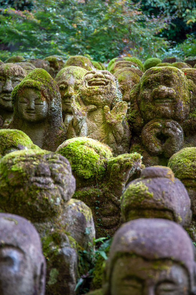 京都の風景