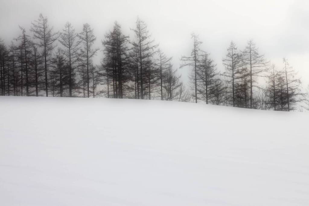 北海道の風景