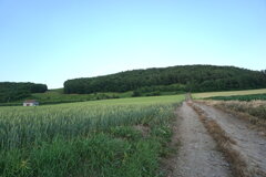 北海道の風景