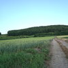 北海道の風景