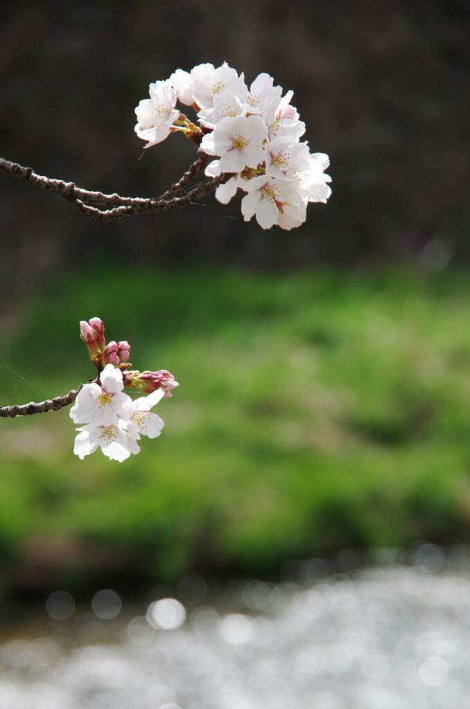 愛知の風景
