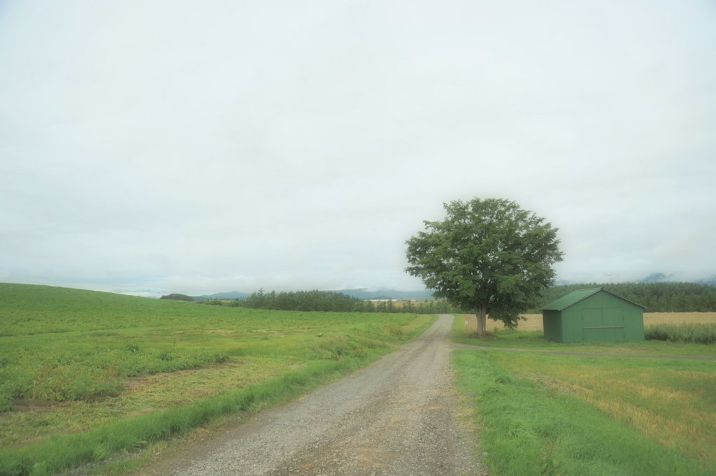 北海道の風景