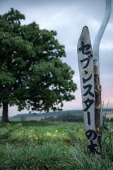 北海道の風景