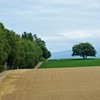 北海道の風景