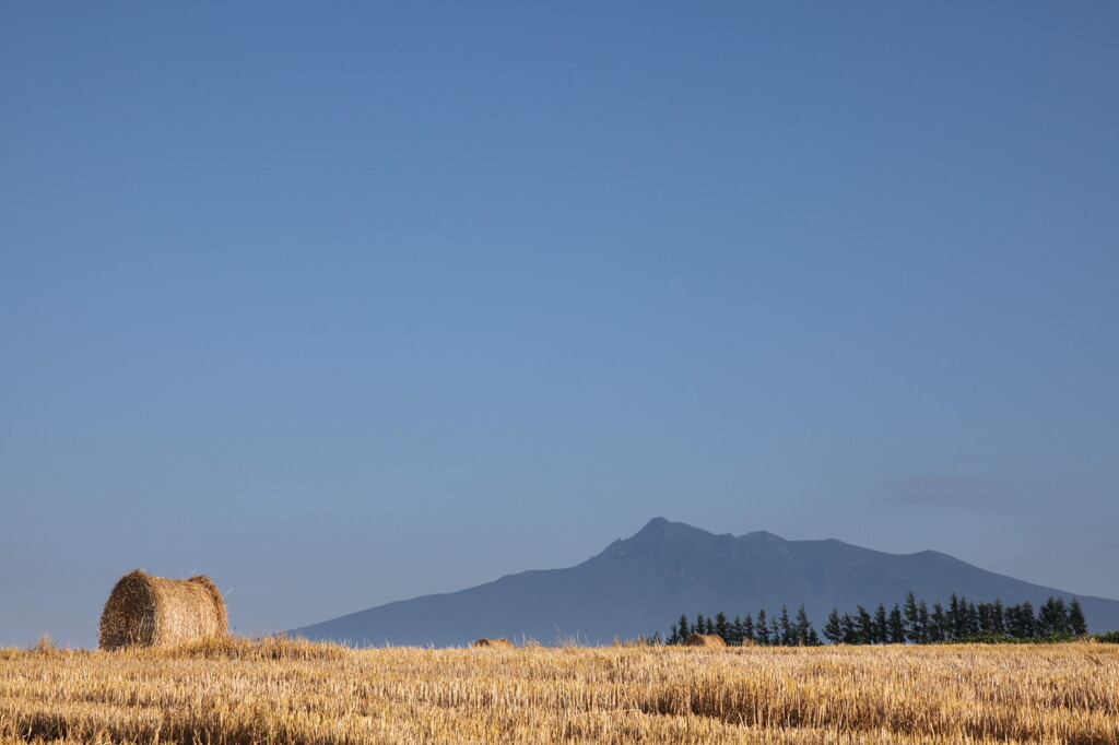 北海道の風景