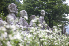 富山の風景