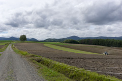 北海道の風景