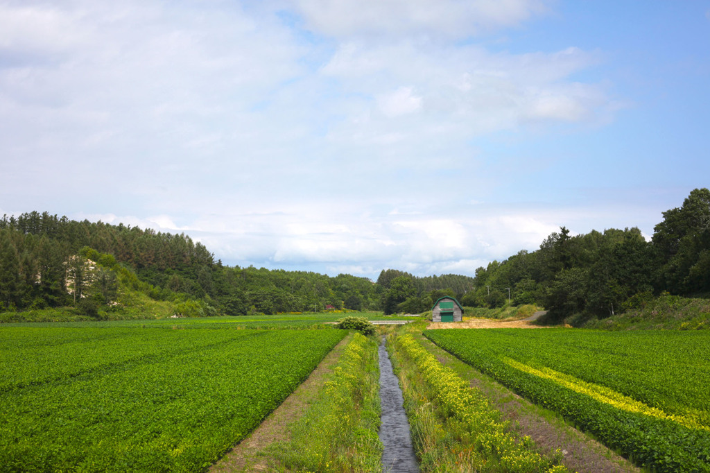 北海道の風景