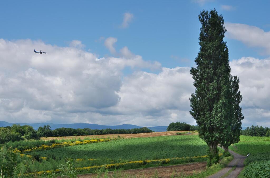 北海道の風景
