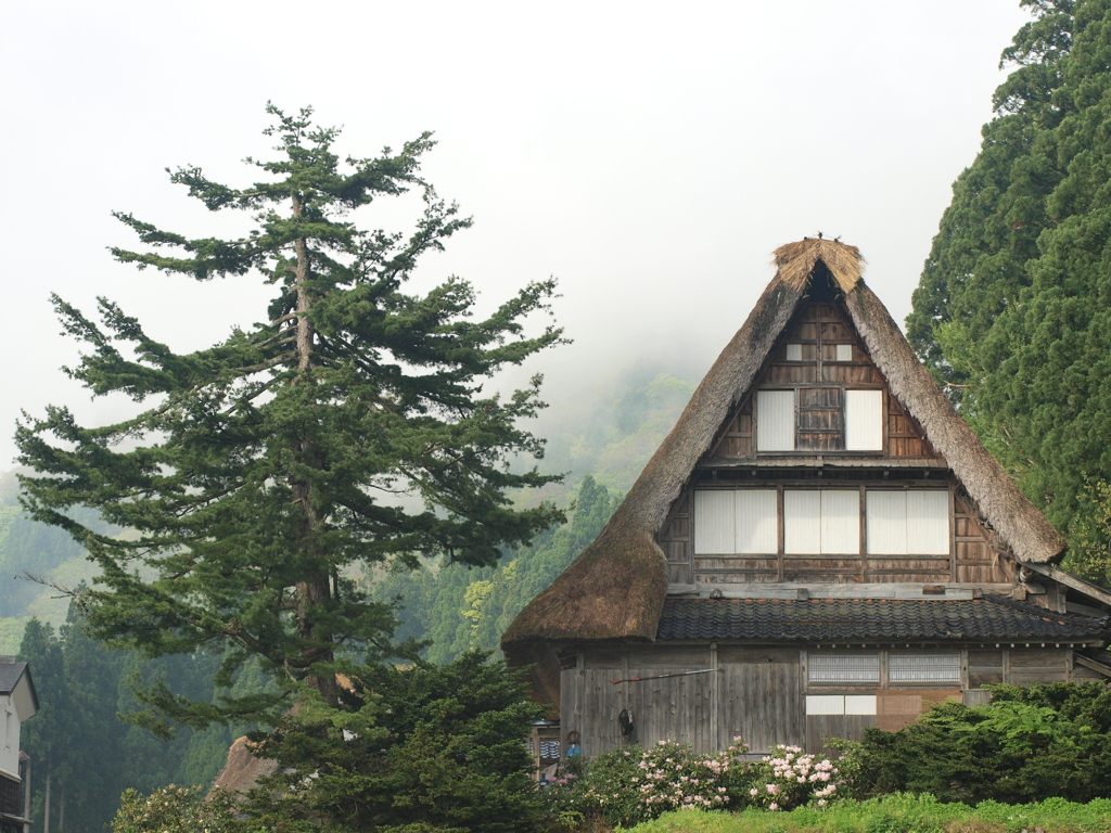 富山の風景