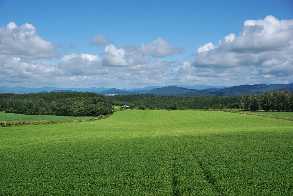 北海道の風景
