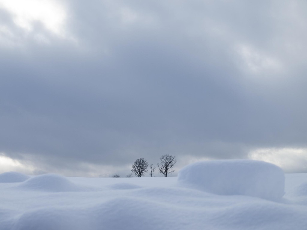 北海道の風景