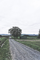 北海道の風景