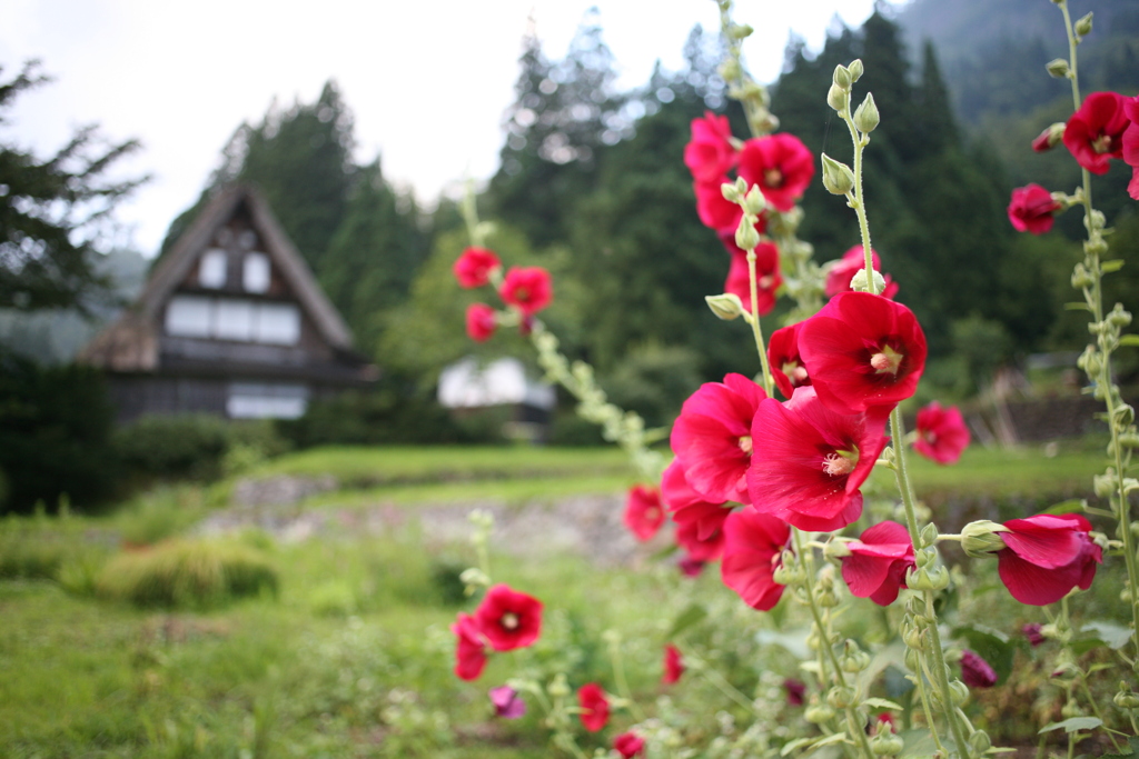 富山の風景