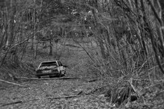 廃車体のある風景