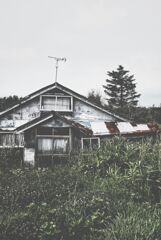 北海道の風景