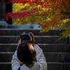 京都の風景