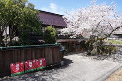 愛知の風景
