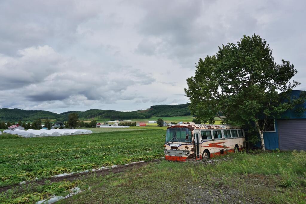 北海道の風景