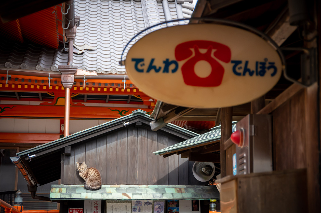 愛知の風景