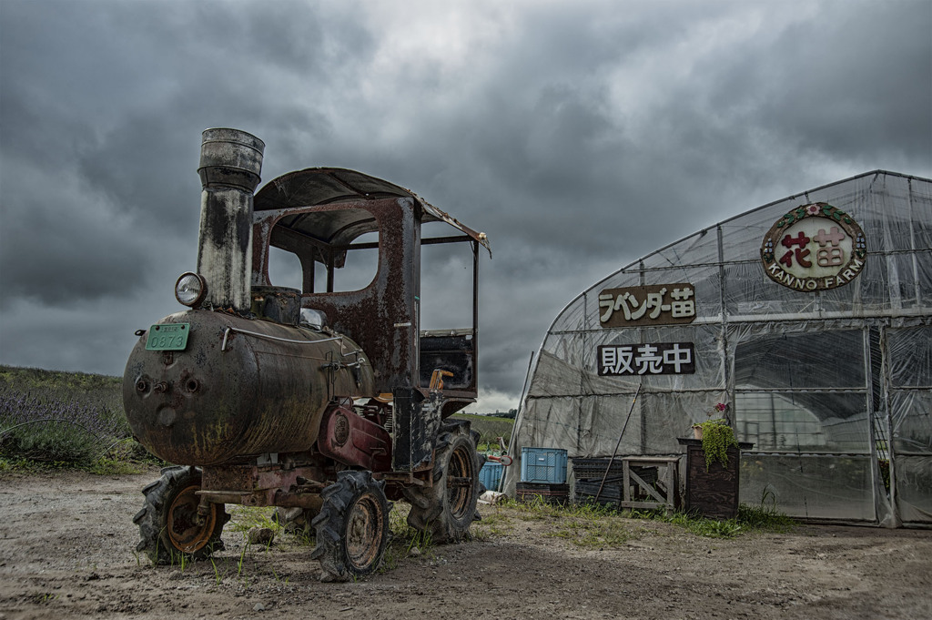 北海道の風景