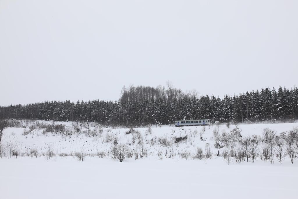 北海道の風景