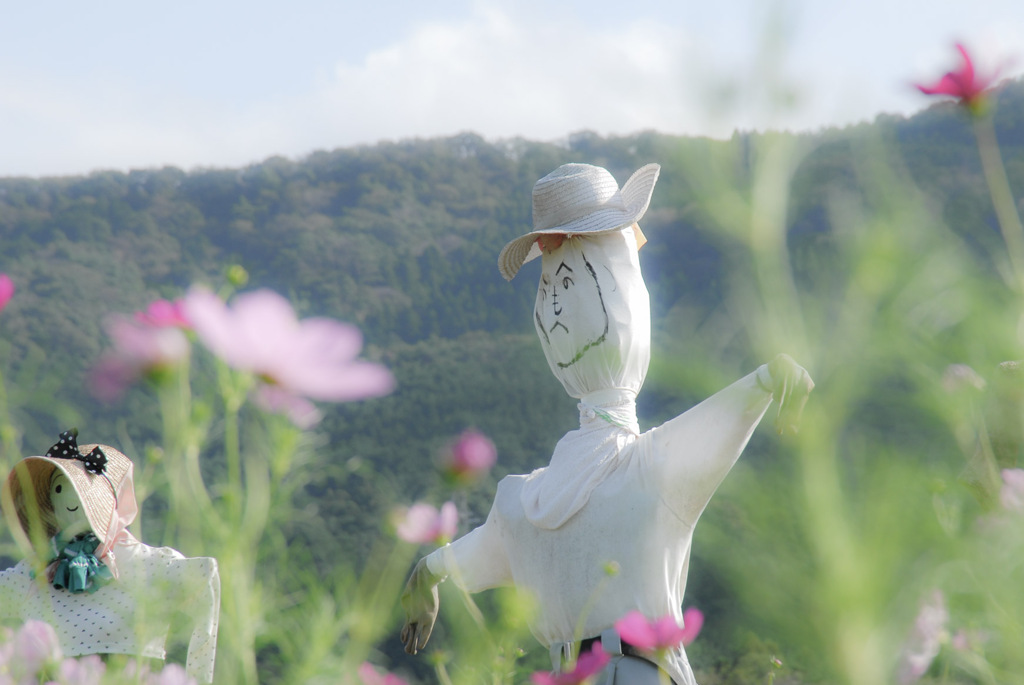 愛知の風景