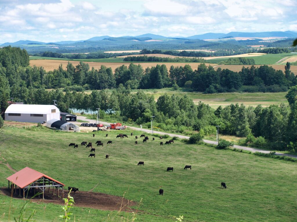 北海道の風景