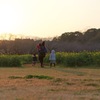 夕焼けの帰り道